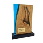 Personalizowana Statuetka z grawerem Podziękowanie Drewno Żywica - obrazek 5