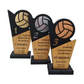 Statuetka Sportowa Puchar Siatkówka Piłka Nożna Koszykówka Tenis i wiele innych