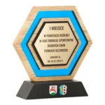 Nowoczesna Statuetka Biznesowa Podziękowanie Drewno Żywica