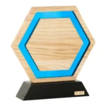 Nowoczesna Statuetka Biznesowa Podziękowanie Drewno Żywica - obrazek 6